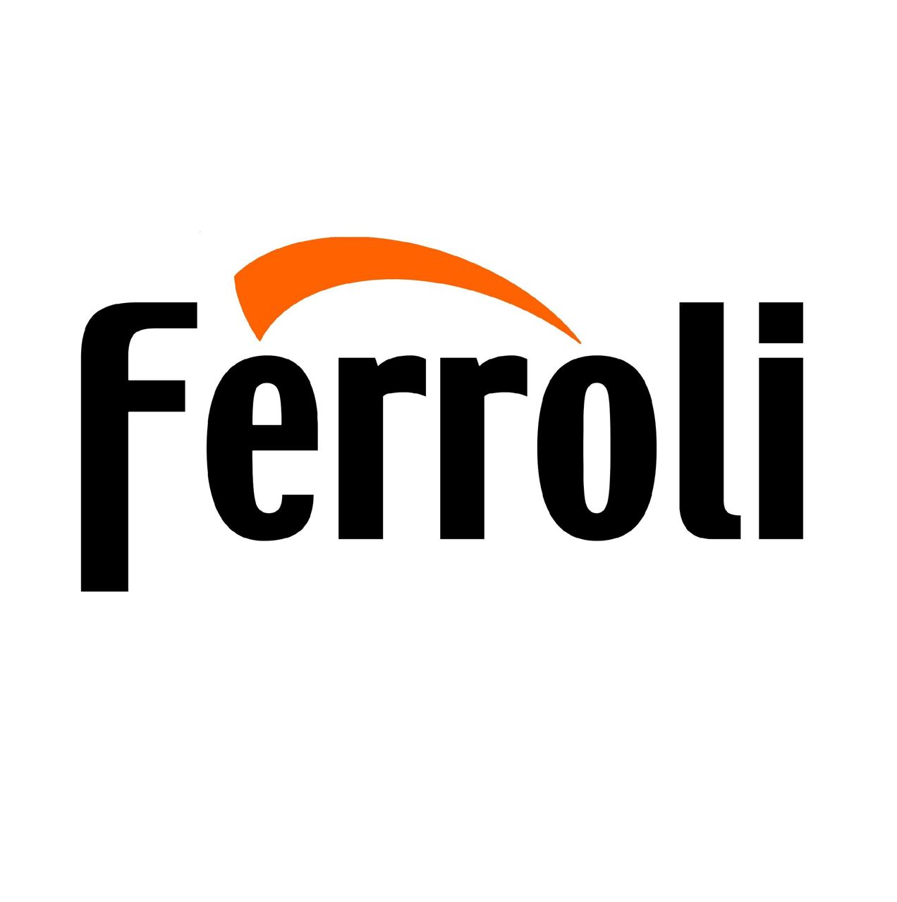 Ремонт котлов Ferolli